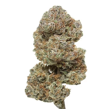 CBD Amnesia