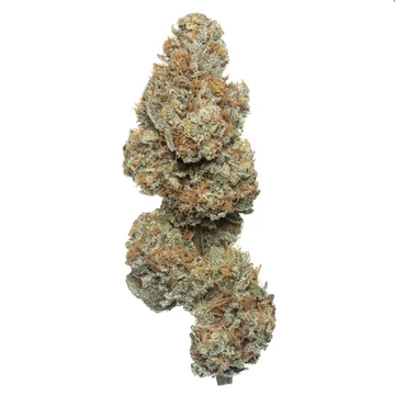 CBD Cheese