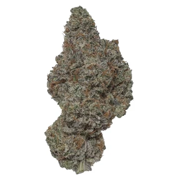 CBD Gorilla Glue